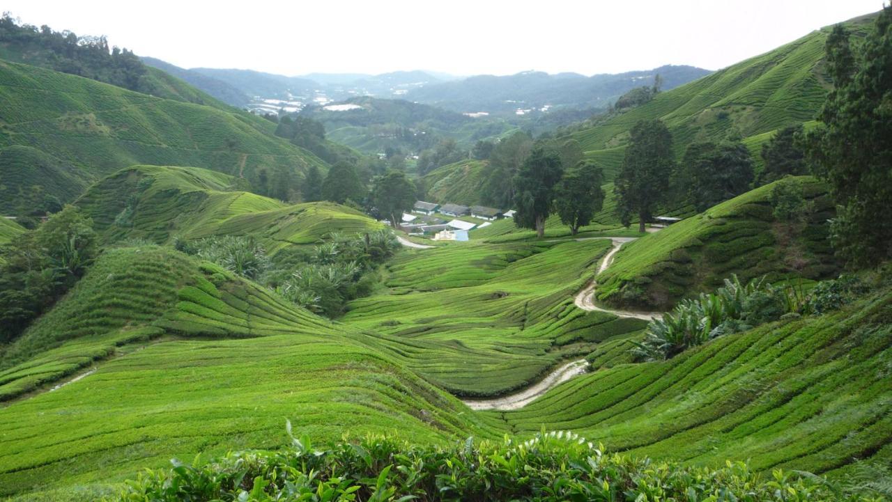The Quintet Cameron Highlands By Tulip Tanah Rata Exteriör bild